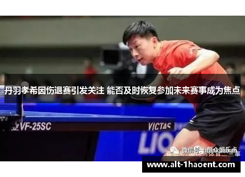 丹羽孝希因伤退赛引发关注 能否及时恢复参加未来赛事成为焦点