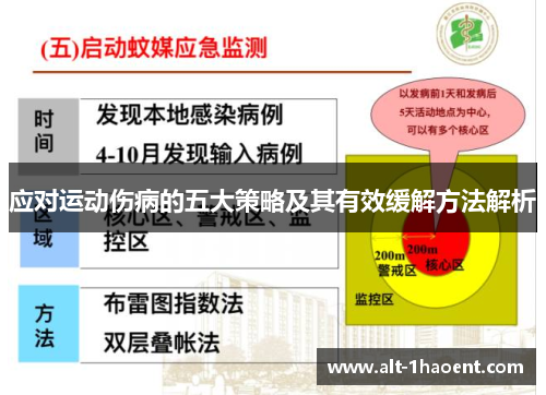 应对运动伤病的五大策略及其有效缓解方法解析